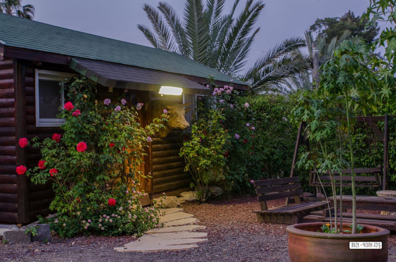 Moon Light Yavne'El Villa Екстериор снимка